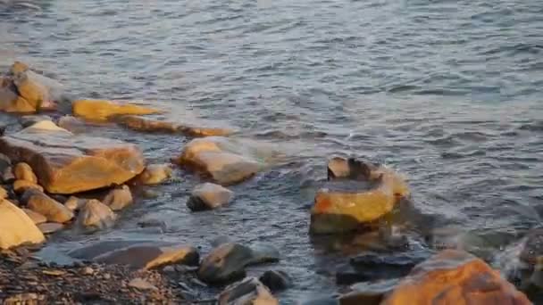 Fale morskie walczą o skały na brzegu. — Wideo stockowe