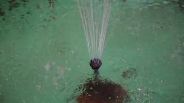 Piccola fontana artificiale con acqua pulita . — Video Stock