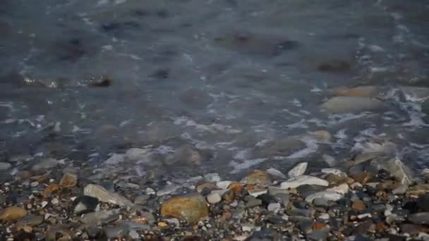 Les vagues de la mer nagent à terre par une journée ensoleillée . — Video