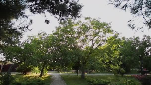 Ağaçlar ve yayalar için yürüyüş yolları ile şehir parkı. — Stok video