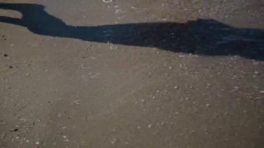 Vietnam tropikal adada sahil yürüyen adam.