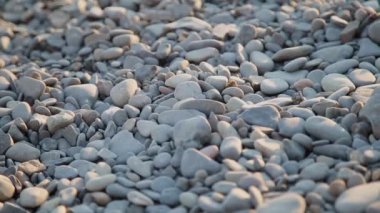 Kumsalda çakıl taşları. Yaklaş..