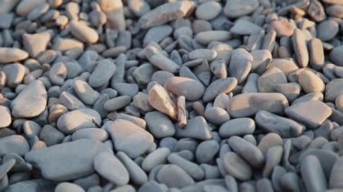 Kumsalda çakıl taşları. Yaklaş..