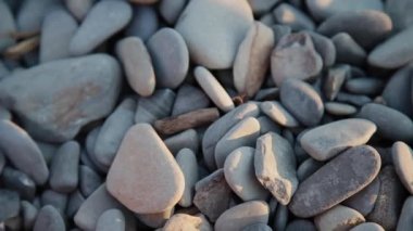 Kumsalda çakıl taşları. Yaklaş..