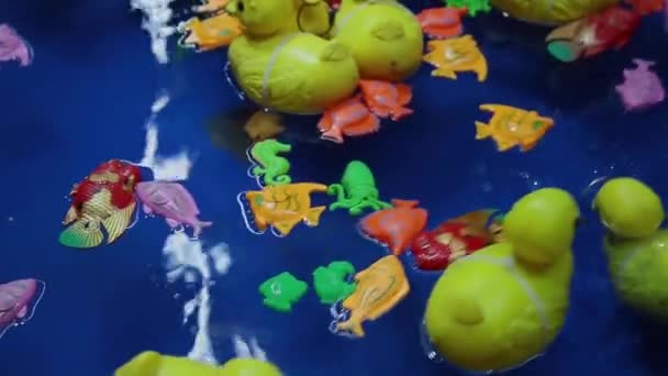 Muchos patos de juguete flotando en el agua. Los juguetes de pato de color amarillo son muy lindos . — Vídeo de stock