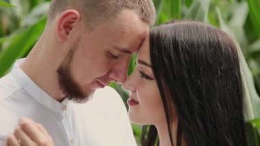 Seven çift birbirlerine sarılma bir Mısır alan ayakta ve öpüşme.