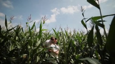 Seven çift birbirlerine sarılma bir Mısır alan ayakta ve öpüşme.