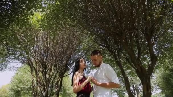 Älskare står under ett träd och omfamning. — Stockvideo