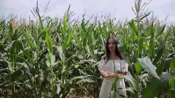 여자는 옥수수에 서 있고 카메라에 뭔가 말하고. — 비디오