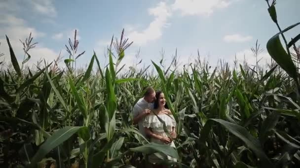 Pareja cariñosa de pie en un campo de maíz abrazándose y besándose . — Vídeo de stock