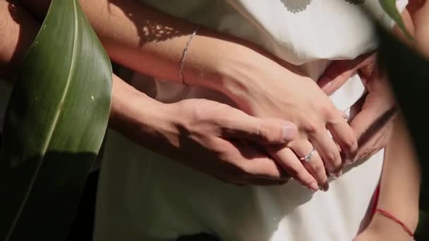 Hands of lovers close-up caress each other. — Stock Video