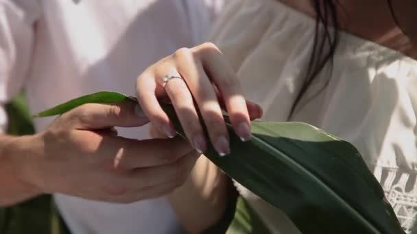 Handen van liefhebbers close-up strelen elkaar. — Stockvideo