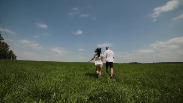 Sevgi dolu çift eğleniyor sahada güneşli bir günde. — Stok video