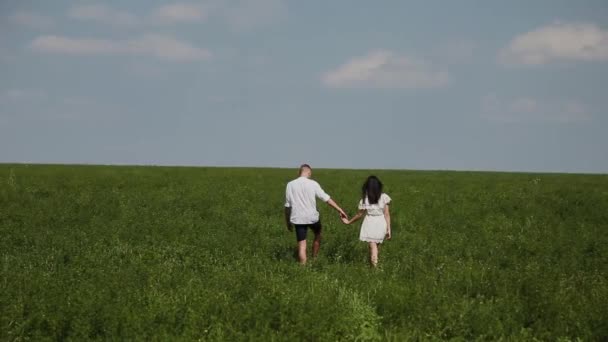 Amar pareja divirtiéndose en el campo en un día soleado . — Vídeos de Stock