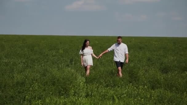 Любляча пара розважається на полі в сонячний день . — стокове відео