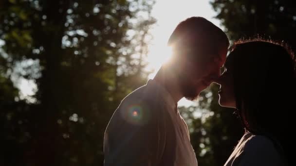 愛するカップルの抱擁し、キス夕日の背景に、自分の顔を通過する太陽の光. — ストック動画