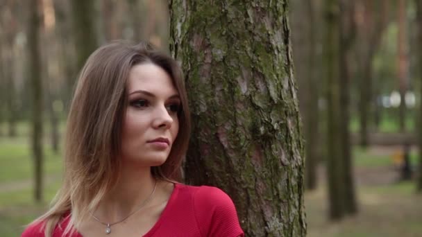 Une femme très belle et à la mode en robe rouge se promène dans la forêt . — Video