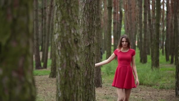 Eine sehr schöne und modische Frau in einem roten Kleid geht durch den Wald. — Stockvideo