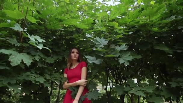 一个穿着时髦红色连衣裙的女孩站在森林灌木丛中, 抚摸着自己。. — 图库视频影像