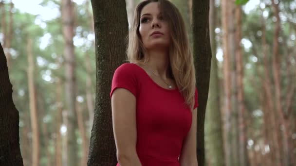 A very beautiful and fashionable woman in a red dress walks through the forest. — Stock Video