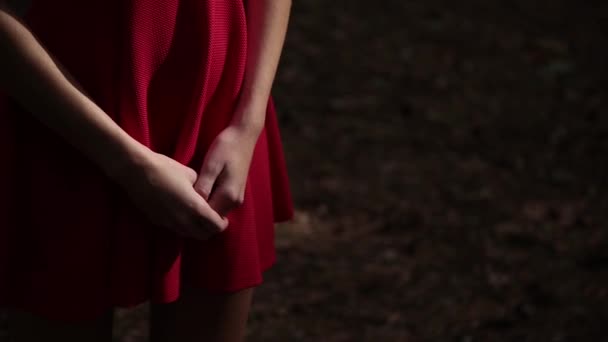 Une femme très belle et à la mode en robe rouge se promène dans la forêt . — Video