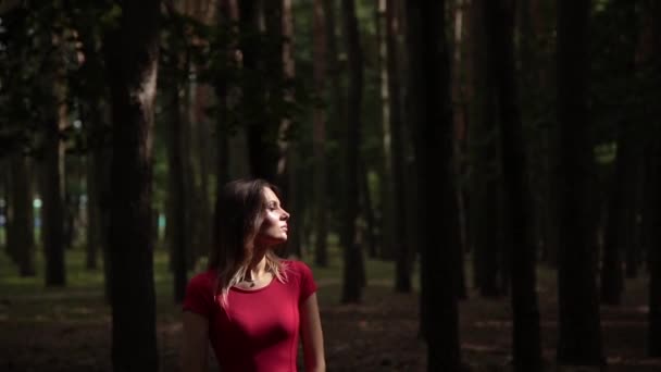 Una mujer muy hermosa y de moda en un vestido rojo camina por el bosque . — Vídeo de stock