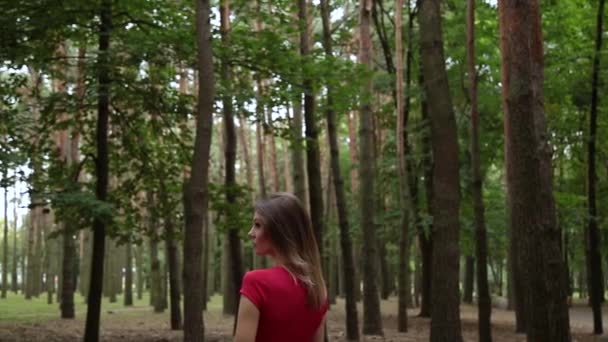 Una mujer muy hermosa y de moda en un vestido rojo camina por el bosque . — Vídeos de Stock