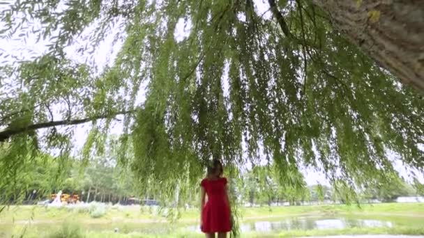 Çok güzel bir kız yavaşça bir ağaç yaprakları dokunur. — Stok video