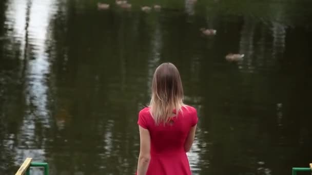 Uma menina muito bonita em um vestido vermelho está de pé em um cais perto de um pequeno lago . — Vídeo de Stock