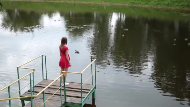 Very Beautiful Girl Red Dress Standing Pier Small Lake — Stock Video