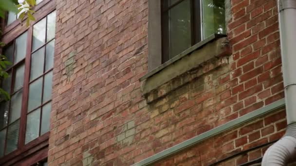 Ventanas de una vieja casa de ladrillo en un día soleado . — Vídeos de Stock