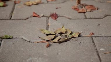 Seksi kız kaldırım stiletto topuklar üzerinde yürür..