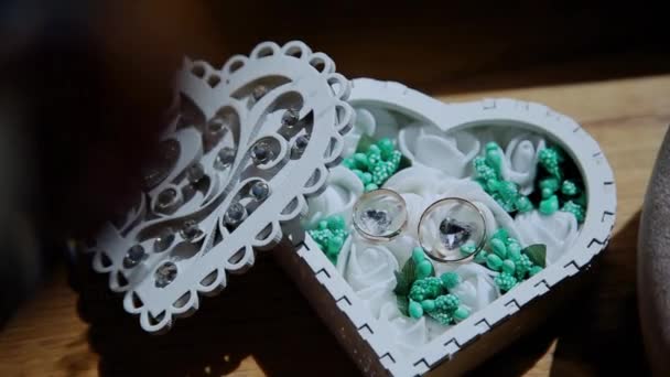 Belos anéis de casamento em uma caixa, brilho do sol . — Vídeo de Stock