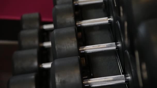 Rows of dumbbells in the gym, simulators for athletes. — Stock Video