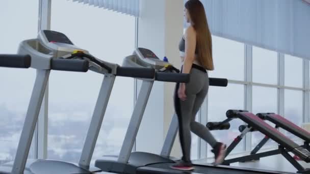 非常漂亮的女士在健身房的跑步机上锻炼. — 图库视频影像