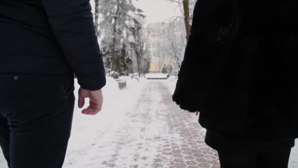 Beautiful young couple walking in the park holding hands. — Stock video