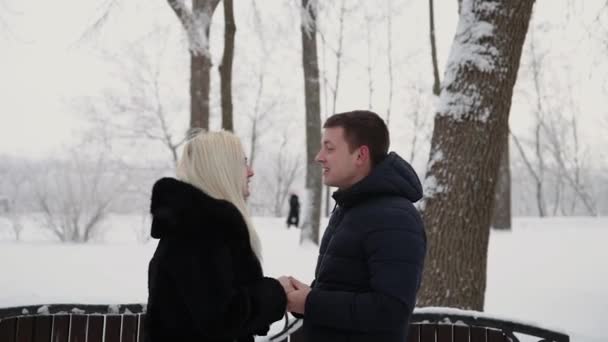 Smukke unge par holder hænder taler og smiler i en by vinterpark . – Stock-video