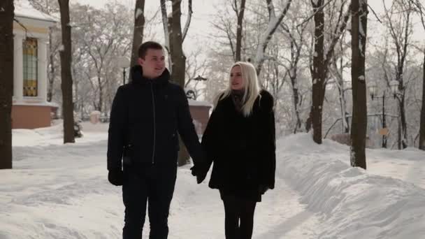 Beautiful young couple walking in the park holding hands. — Stock video