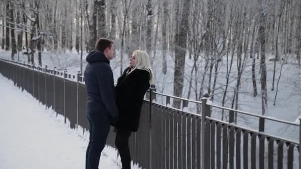 Hermosa Pareja Joven Abrazándose Hablando Parque Invierno Ciudad — Vídeo de stock