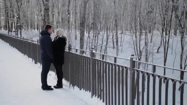 Hermosa pareja joven abrazándose y hablando en un parque de invierno de la ciudad . — Vídeo de stock