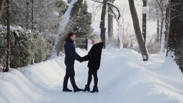 美丽的年轻夫妇手牵手说话和微笑在城市冬季公园. — 图库视频影像