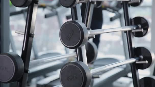 En uppsättning vikter med olika vikt på sträckbänken i gymmet. — Stockvideo
