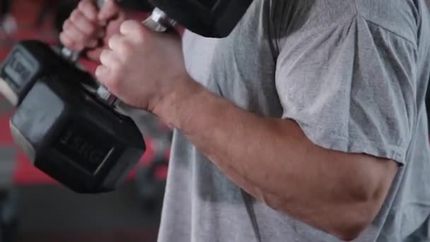 Schöner athletischer Mann trainiert Hantelbizeps im Fitnessstudio. — Stockvideo