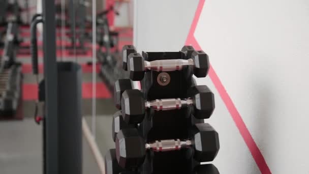 训练的哑铃躺在健身房的架子上. — 图库视频影像