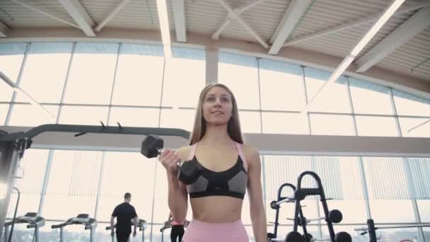 Hermosa atlética joven entrena pesas bíceps en el gimnasio . — Vídeos de Stock