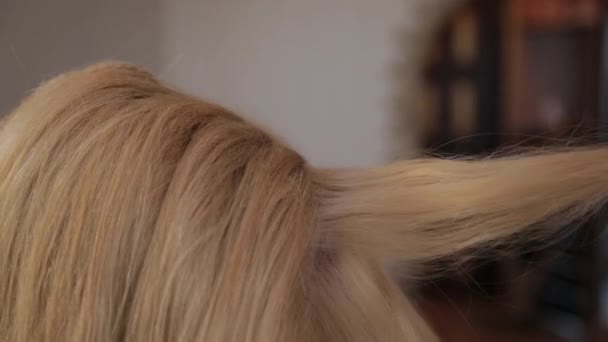 Gyönyörű lány fodrász teszi egy stílusos hajvágás — Stock videók