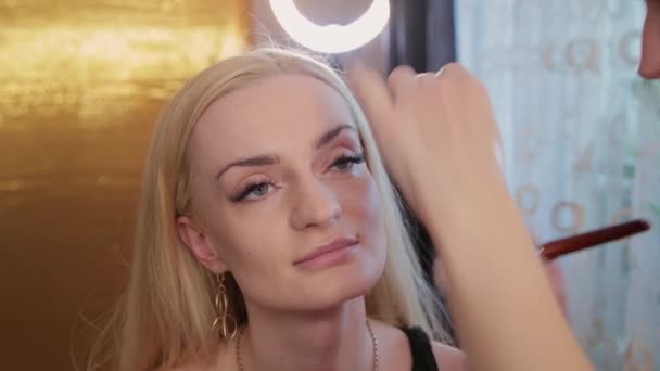 Makeup Artist Makes Professional Makeup Beautiful Woman — Stock Video
