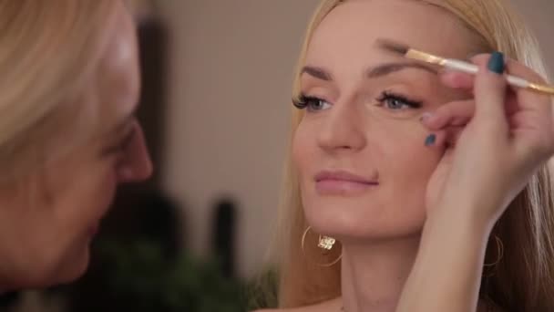 Професійний візажист робить макіяж дуже красивою жінкою . — стокове відео