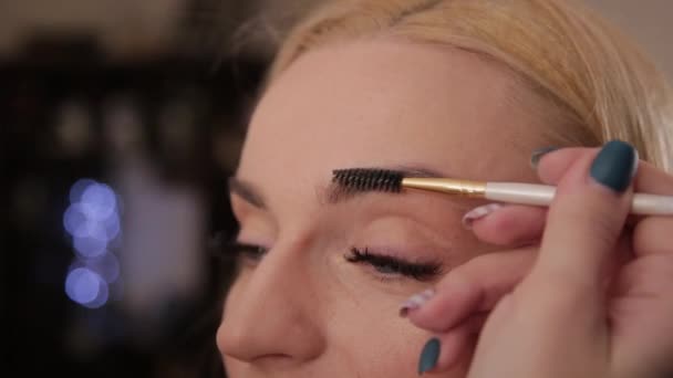 Професійний візажист робить макіяж дуже красивою жінкою . — стокове відео