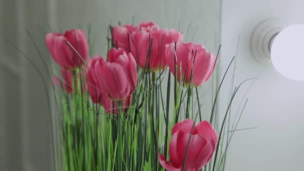 Kunstmatige tulpen in de spiegel met achtergrondverlichting. — Stockvideo